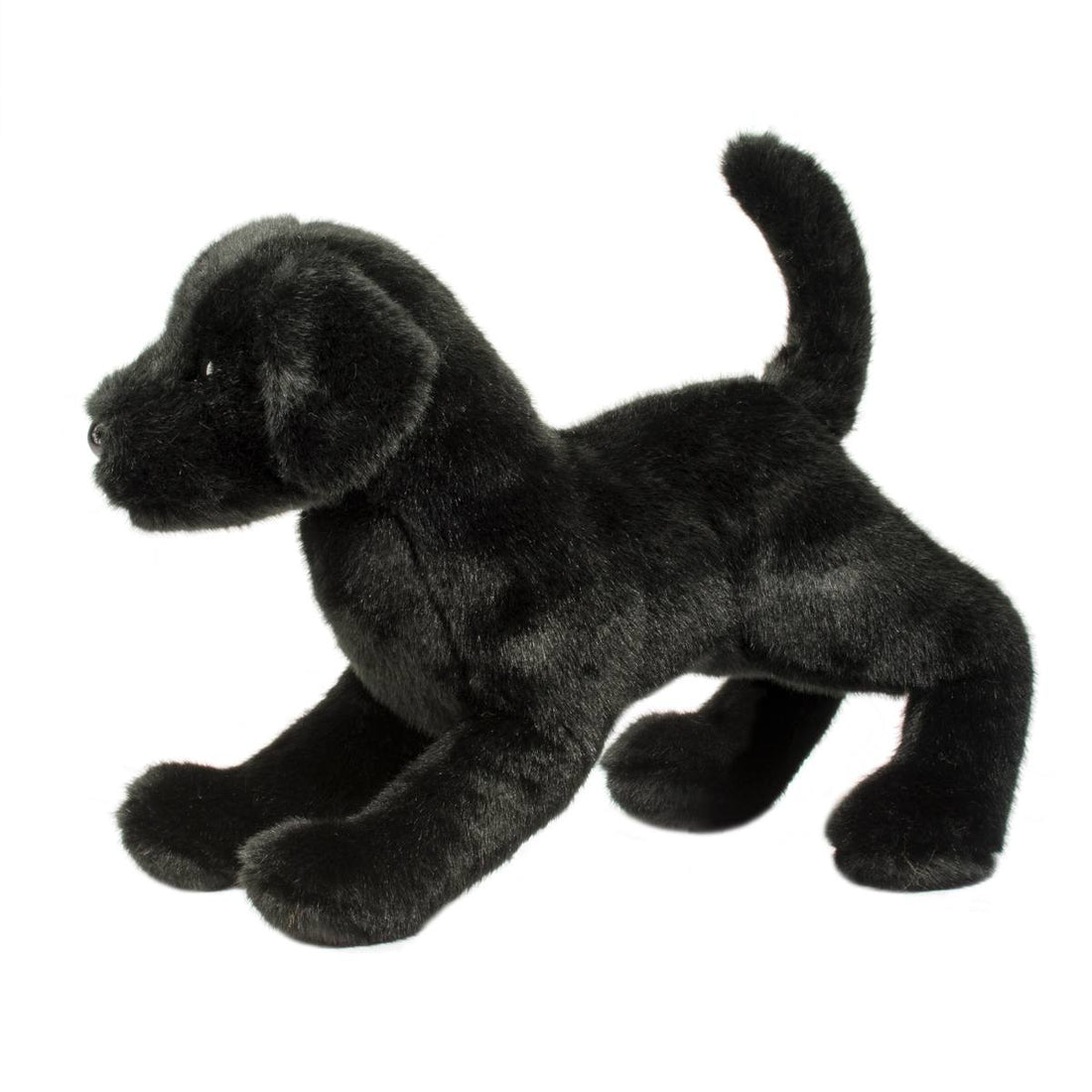 Chester Black Lab Preview #2