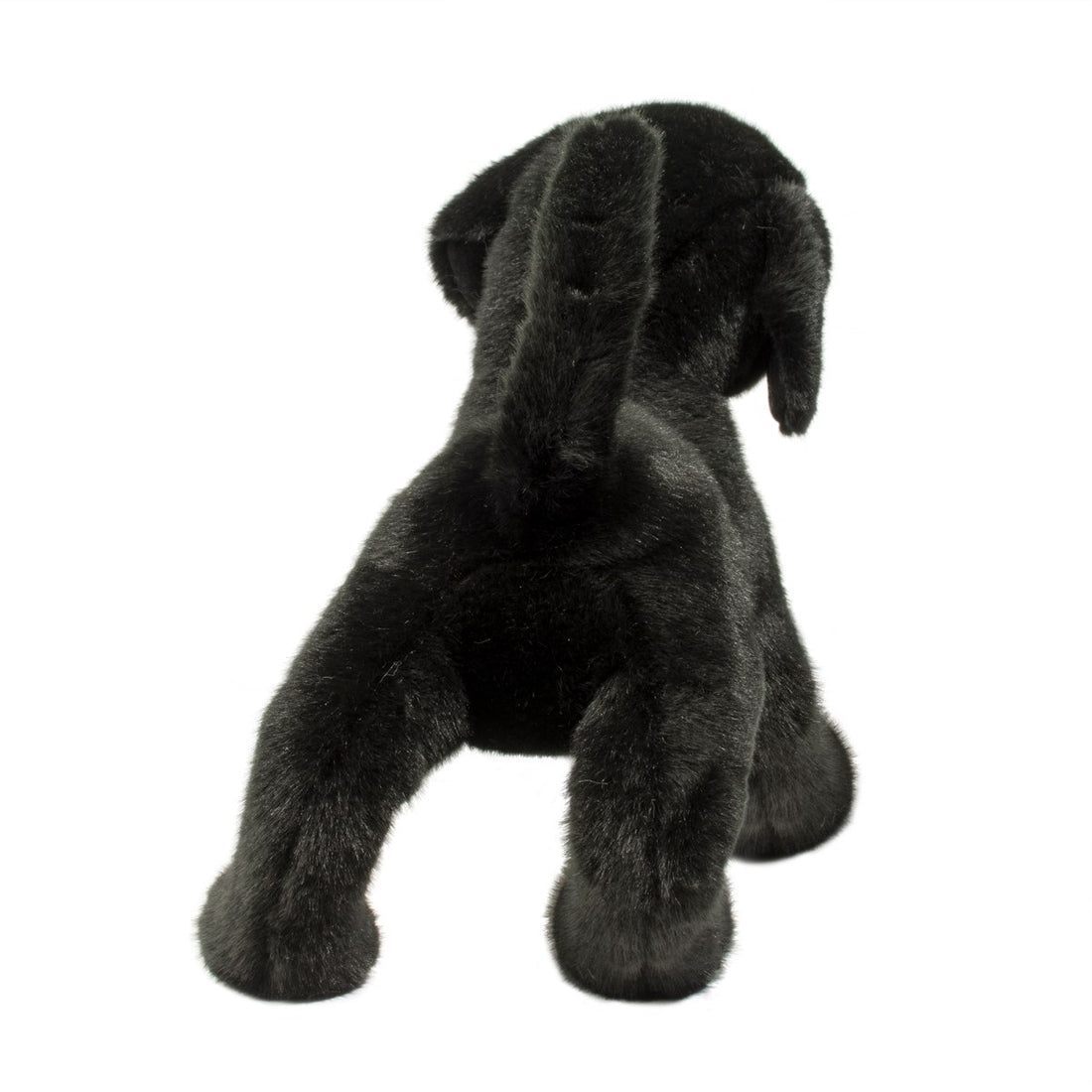Chester Black Lab Preview #4