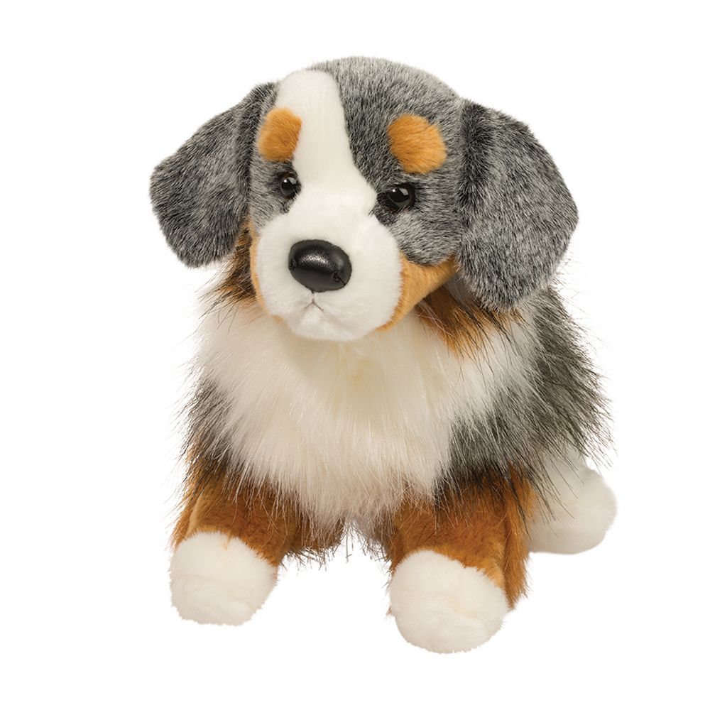 Sinclair Australian Shepherd Cover