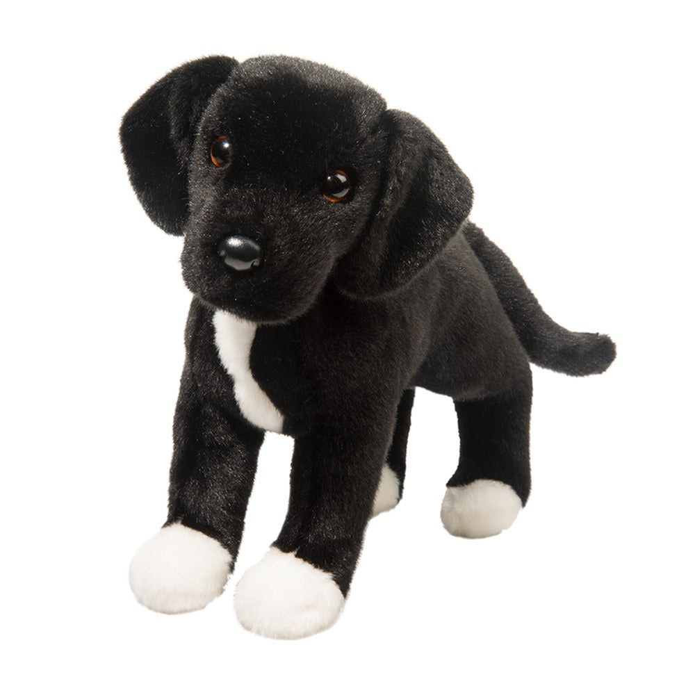 Twister Black Lab/Pit Bull Mix Cover