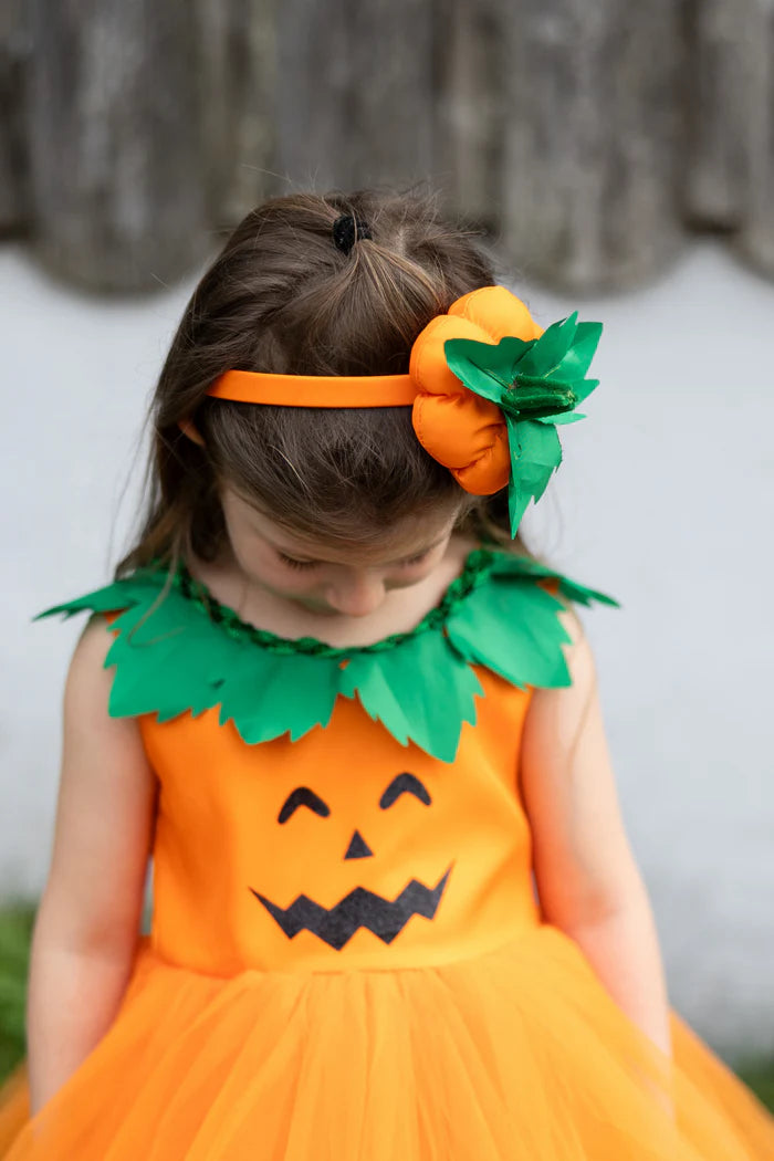 Pumpkin Patch Princess Dress Cover