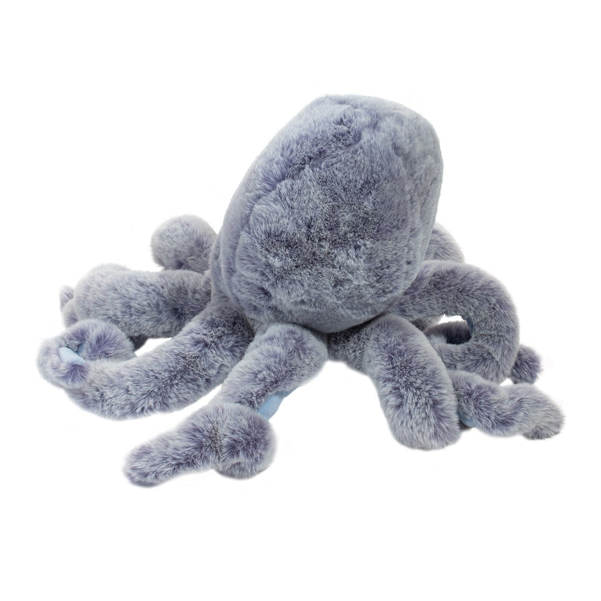 Jamie Octopus Cover