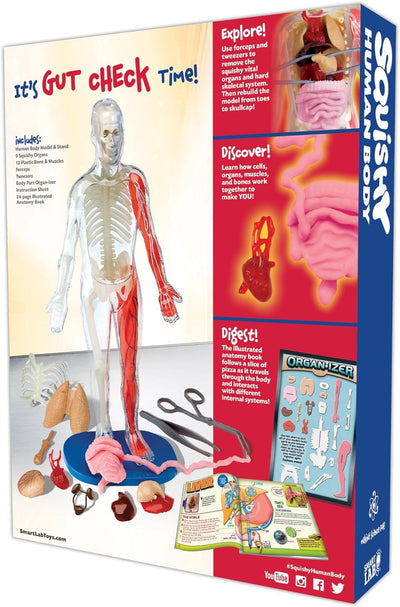 Squishy Human Body Preview #3