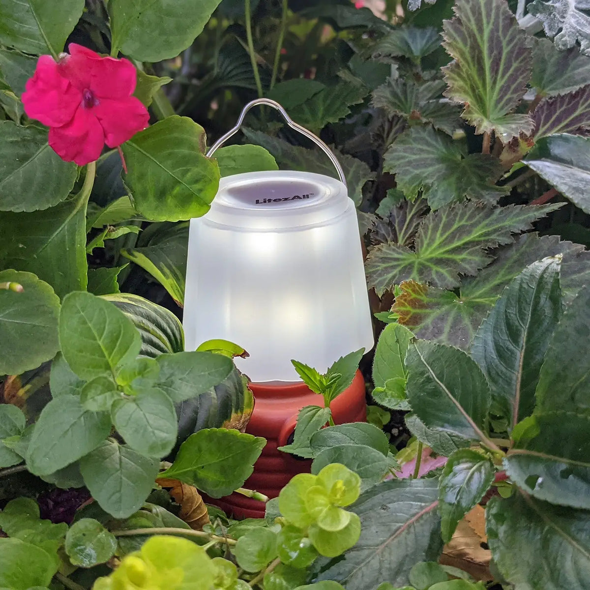 Mini Flame Lantern Cover