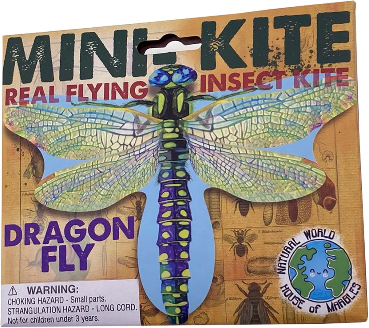Mini Flying Insect Kites Cover