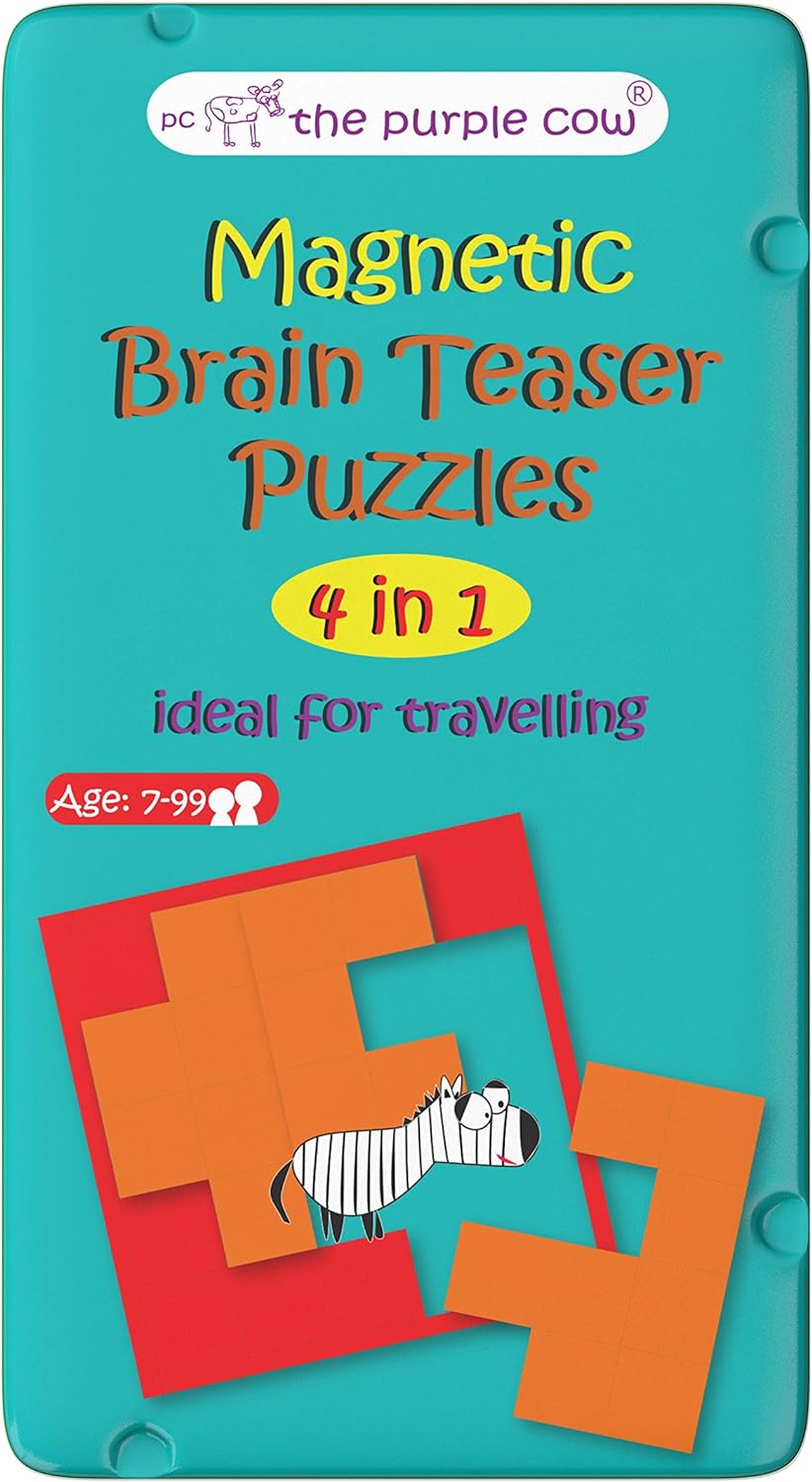 Brain Teaser Puzzle Cover