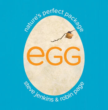 Tomfoolery Toys | Egg: Nature's Perfect Package
