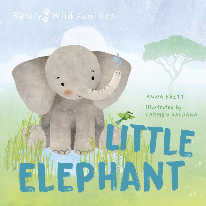 Little Elephant Cover