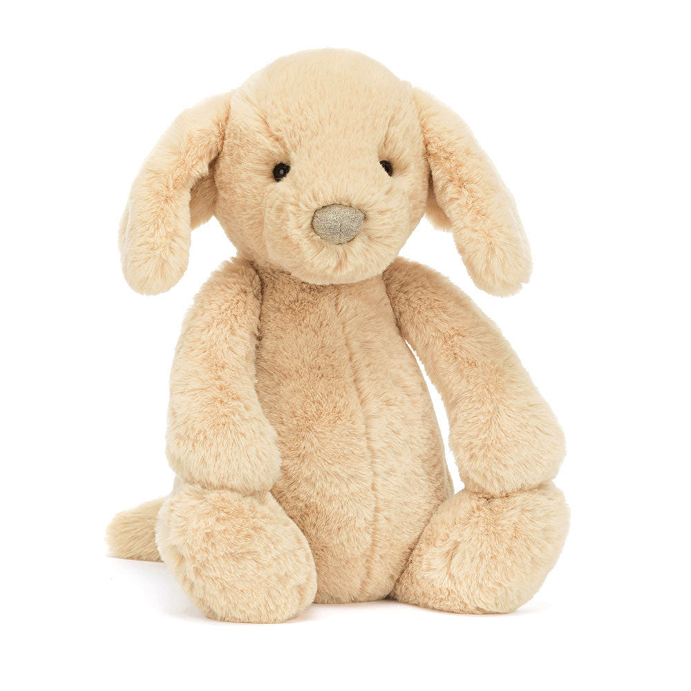 Bashful Luxe Puppy Orlando Big Cover