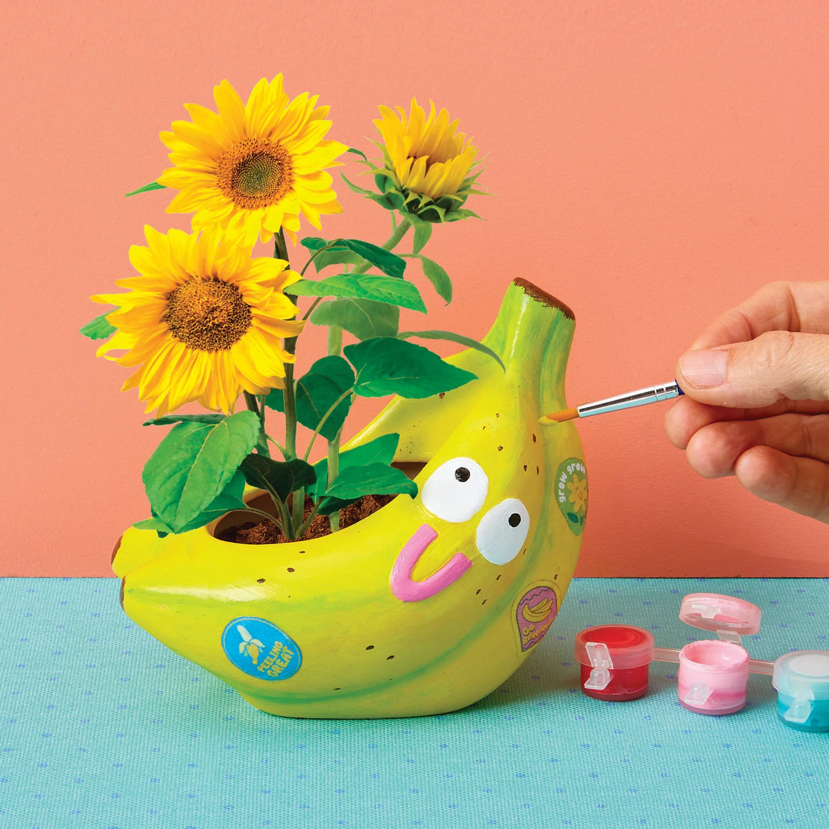 Paint & Grow Banana Cover