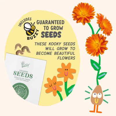 Paint & Grow Orange Preview #3