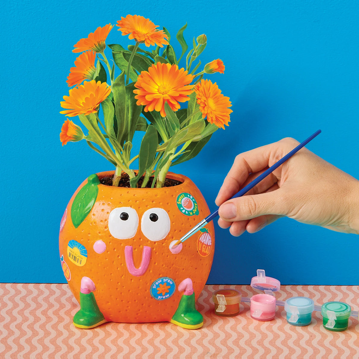 Paint & Grow Orange Cover
