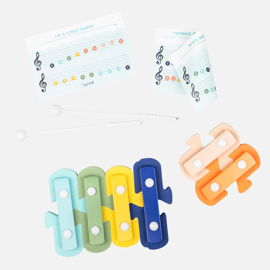 Bath Xylophone Cover