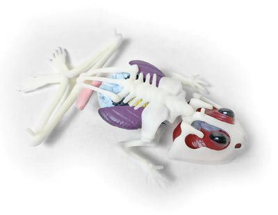Dissect-It Kits Preview #4