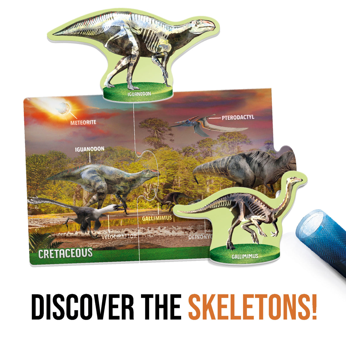 Dinosaurs Under the X-Ray Cover