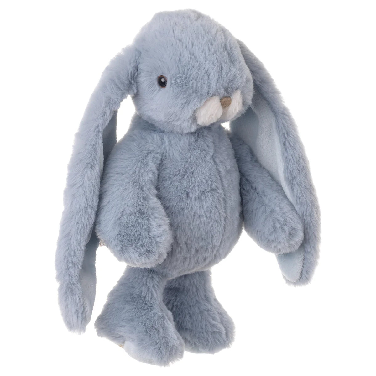 Pearle Blue Friendly Kanini Cover