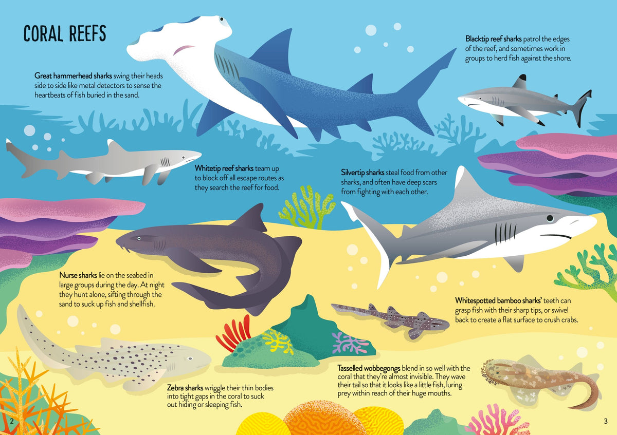 Usborne First Jigsaws And Book: Sharks Cover