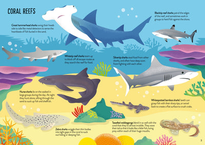 Usborne First Jigsaws And Book: Sharks Preview #3