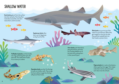 Usborne First Jigsaws And Book: Sharks Preview #4