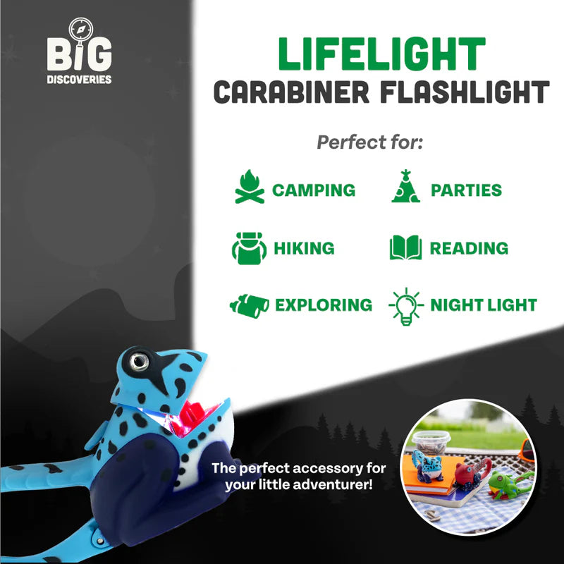 LifeLight Assrt. Cover