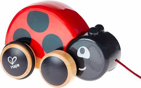 Ladybug Pull Along Cover