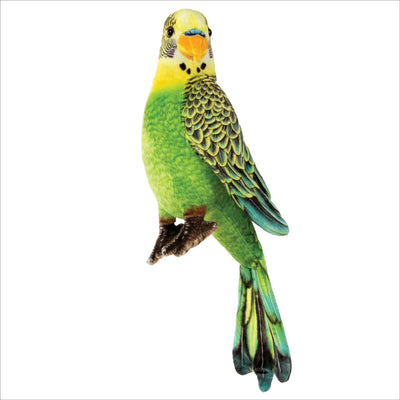 Parakeet 10