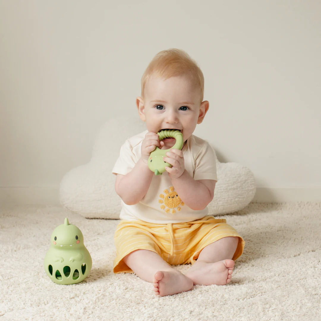 Dino Silicone Teether Cover