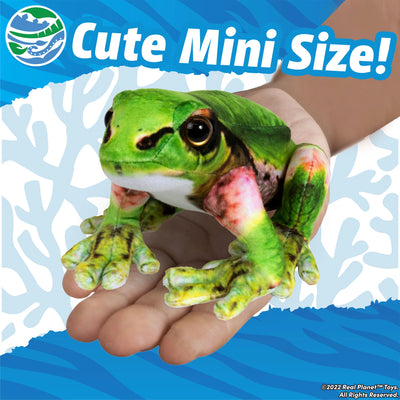 Japanese Tree Frog 8