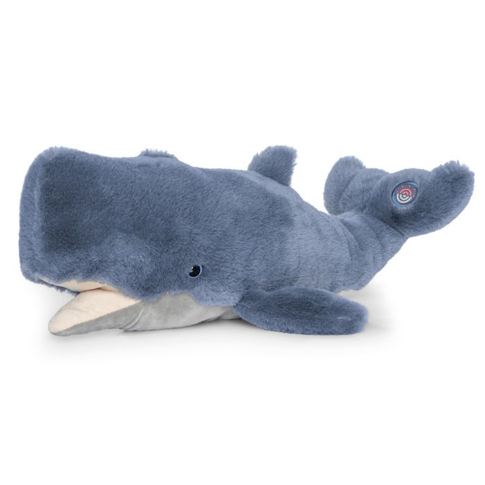 Wayfare Whale Cover