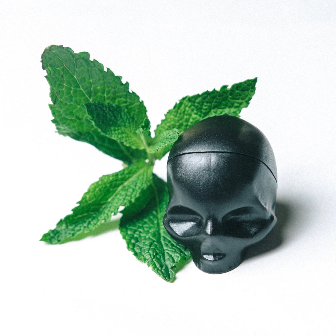 Black Mint Skull Lip Balm Preview #2