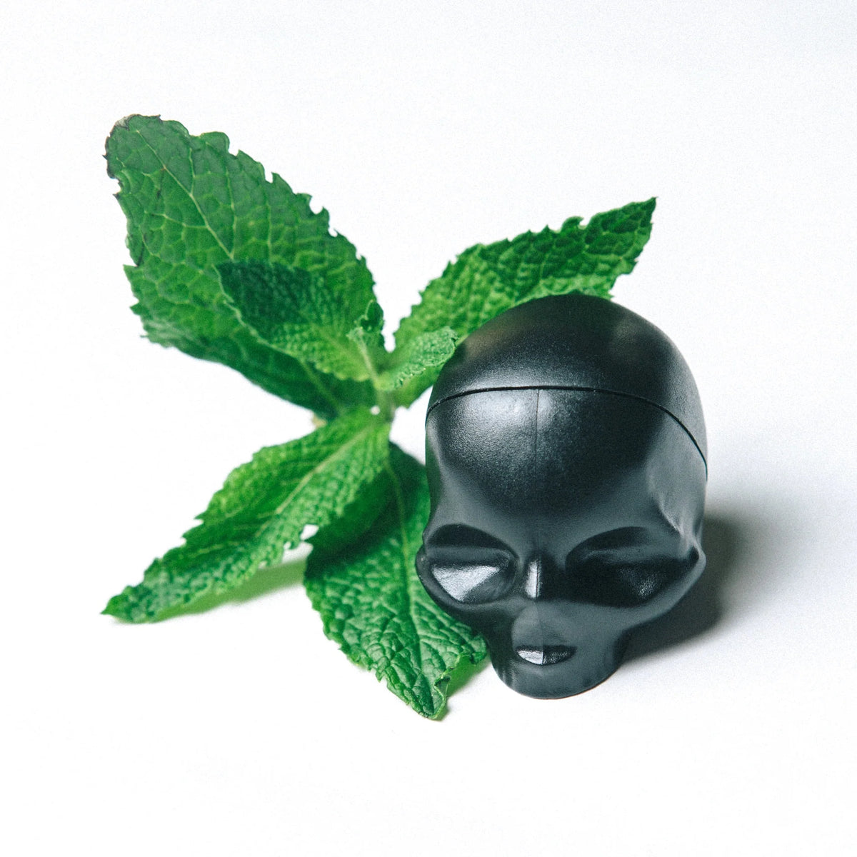 Black Mint Skull Lip Balm Cover