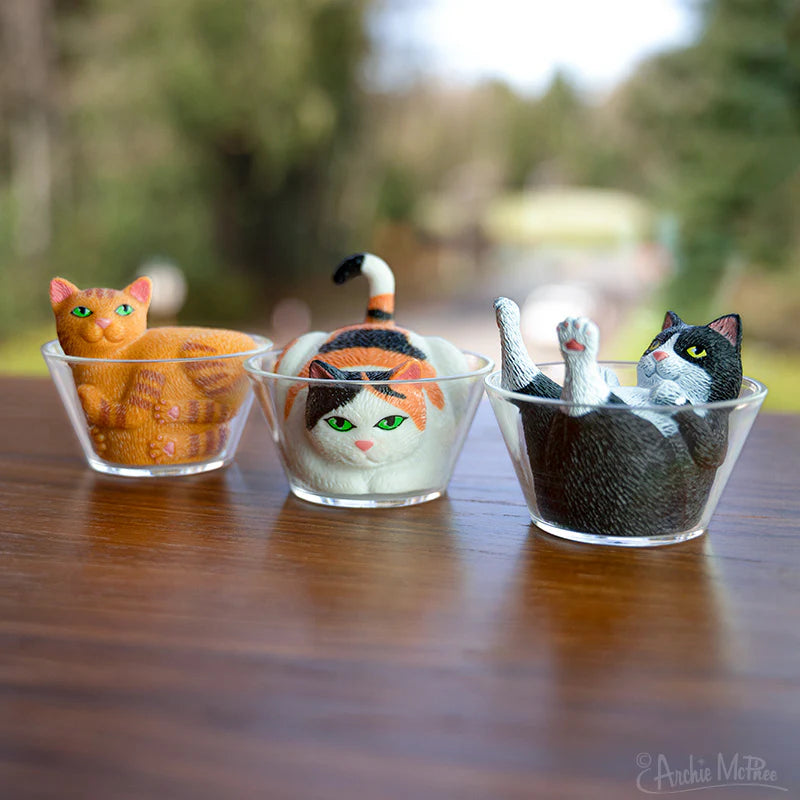 Tomfoolery Toys | Liquid Cats