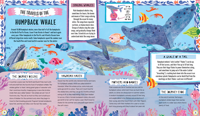 Maps for Penguins Preview #3