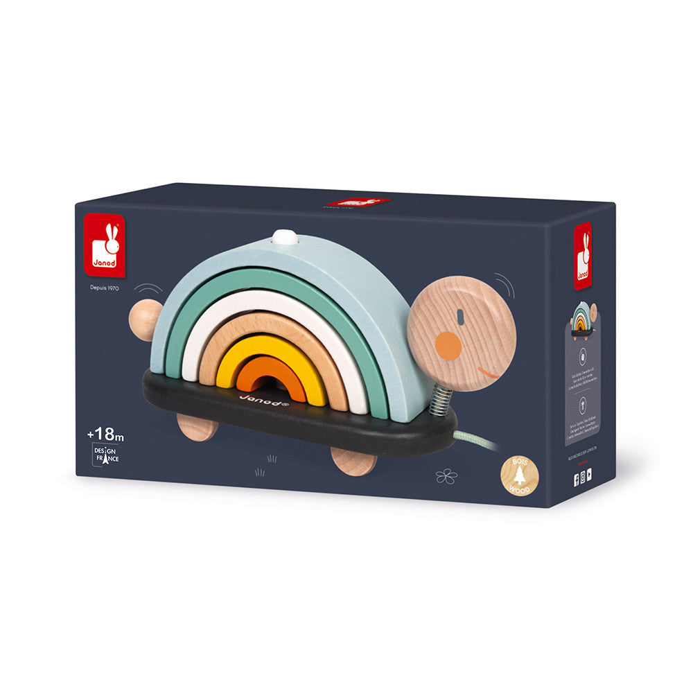 Sweet Cocoon Rainbow Turtle Cover