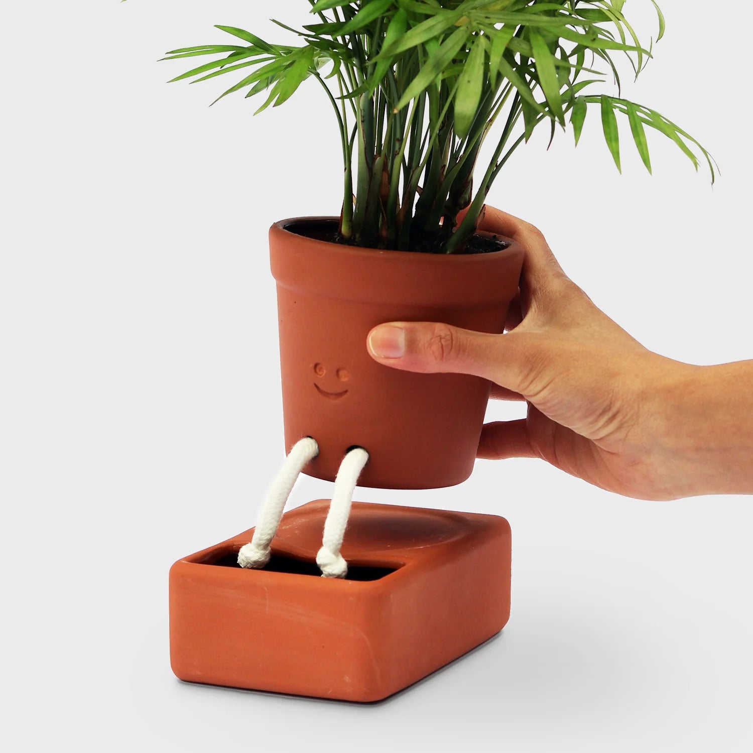 Tomfoolery Toys | Self Care Planter