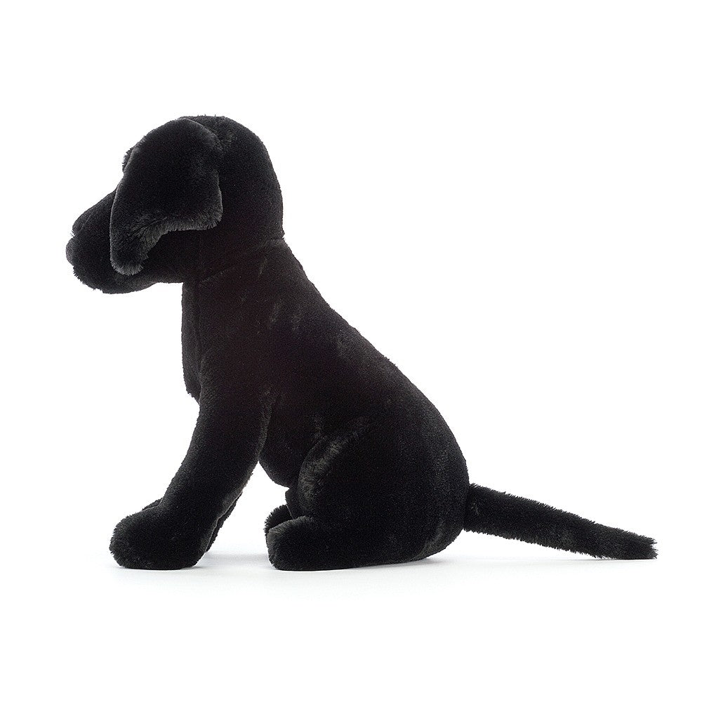 Pippa Black Labrador Preview #2