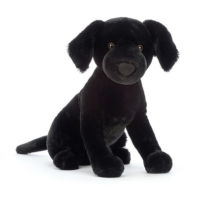 Pippa Black Labrador Preview #1
