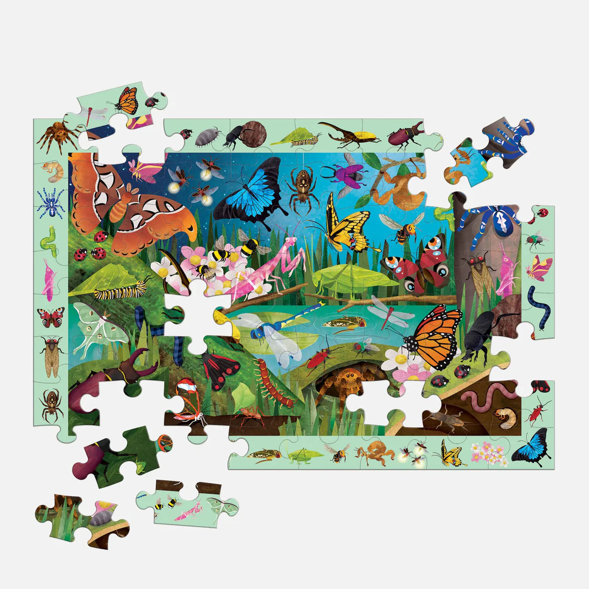 Bugs & Butterflies Search & Find Puzzle Cover