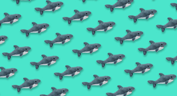 Shark Week | Banner