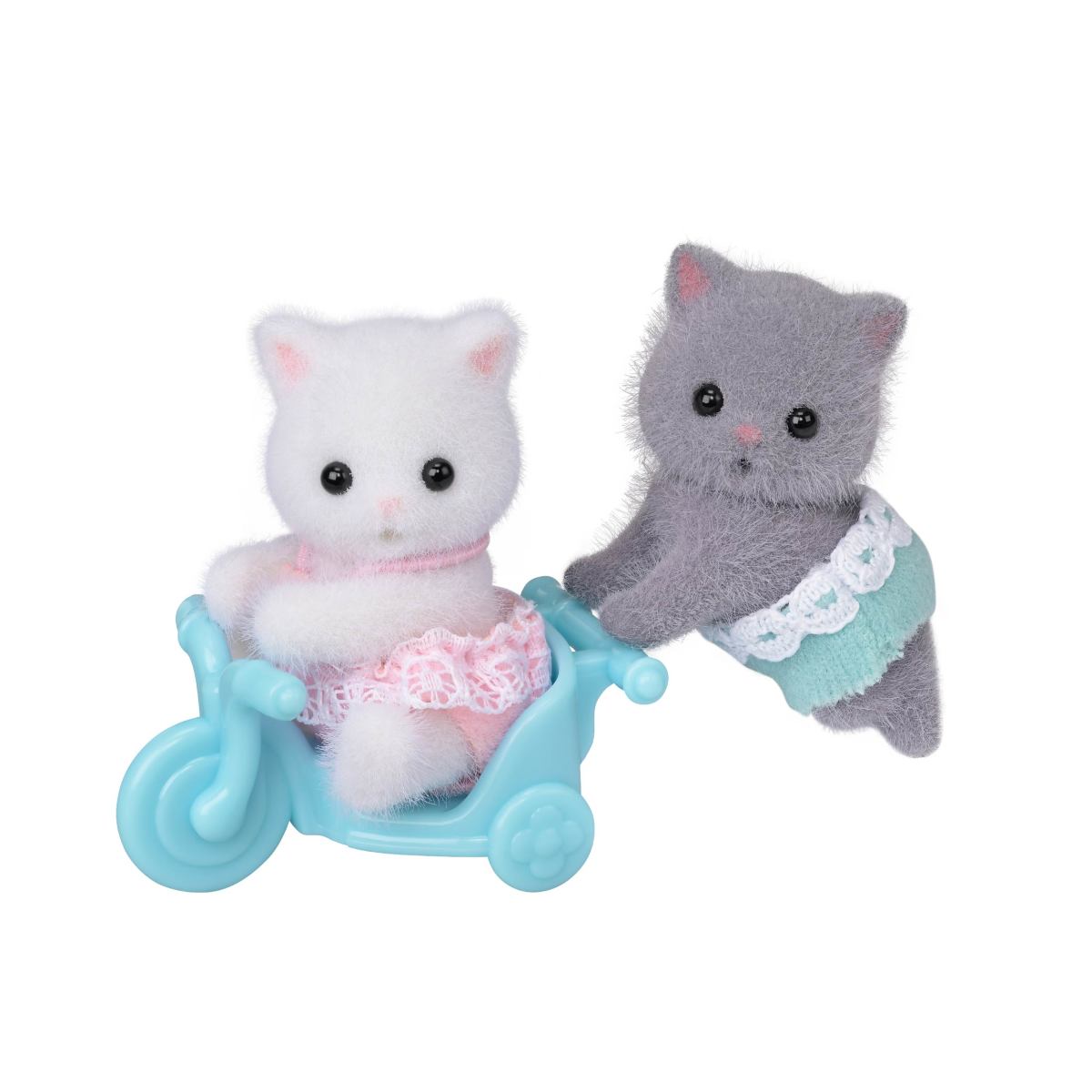 Persian Cat Twins Cover