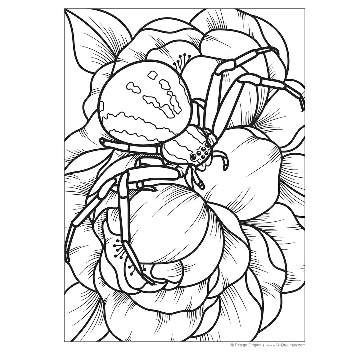Super Cool Bugs & Spiders Coloring Book Cover