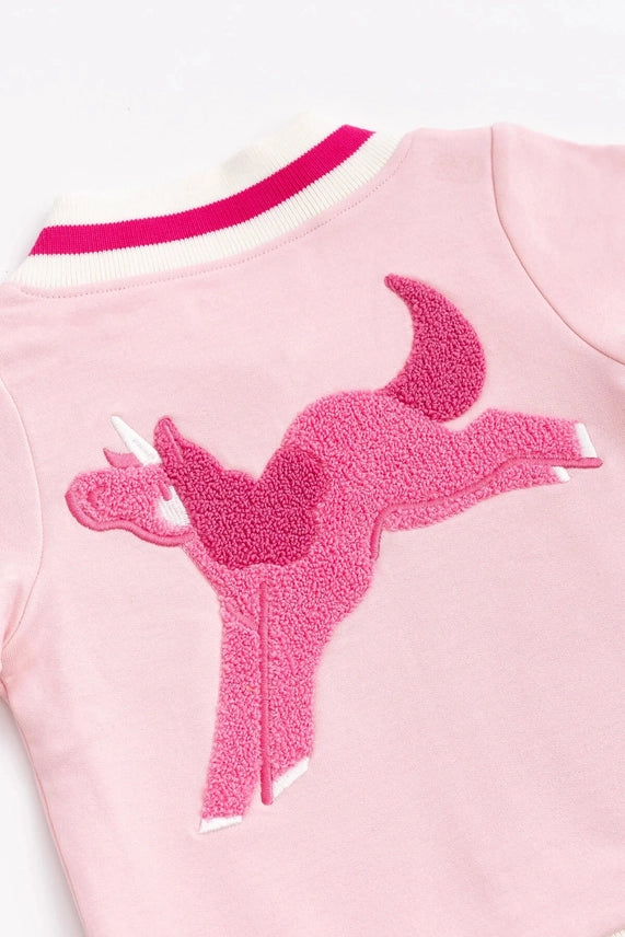 Pink Unicorns Zip Bomber Jacket Cover