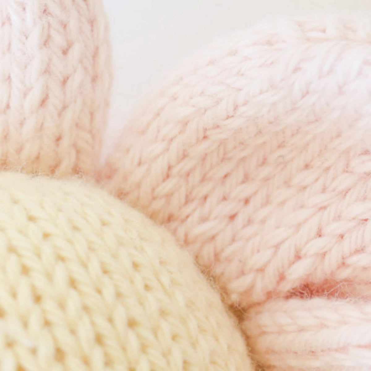 Baby Daisy, Blush Pink Cover