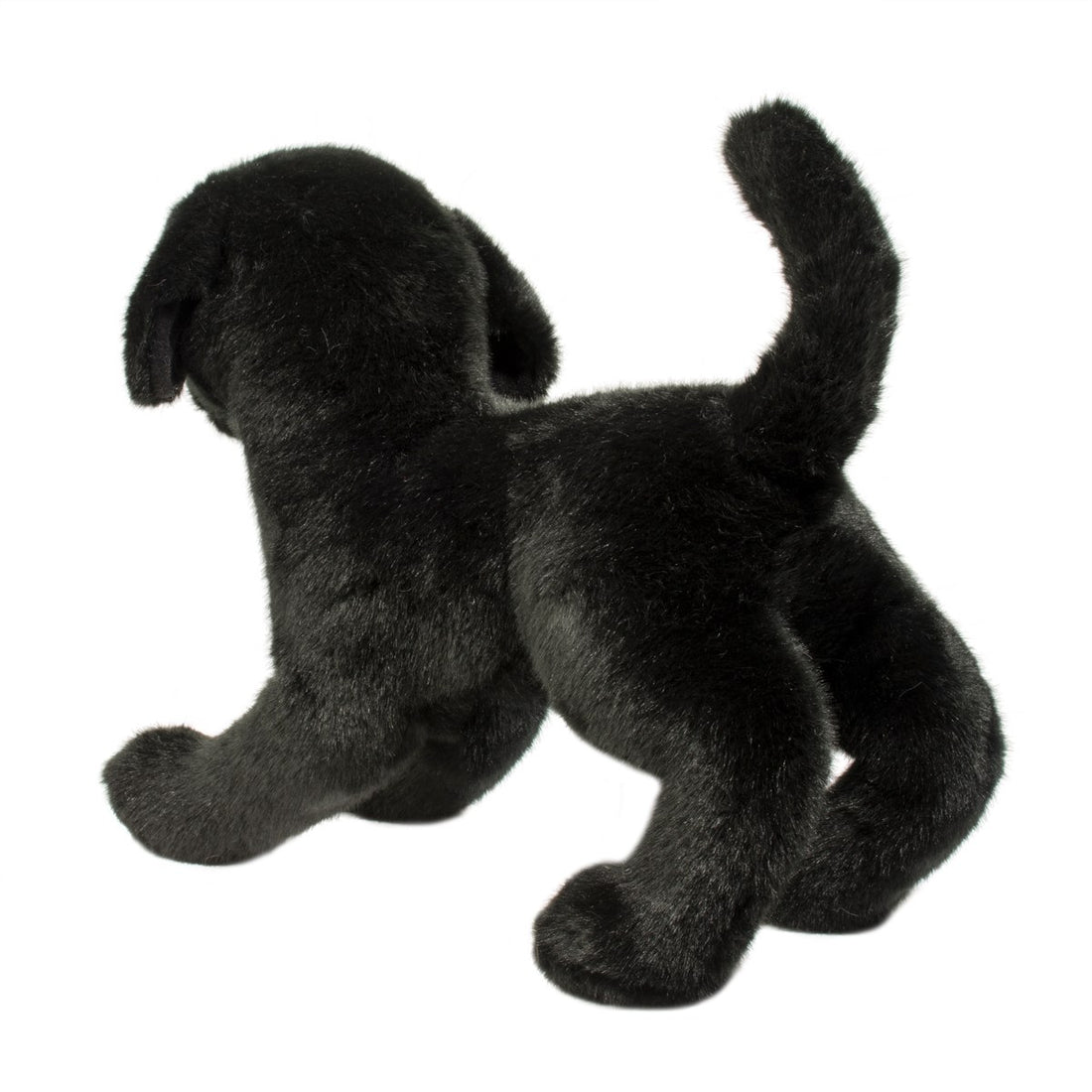 Chester Black Lab Preview #3