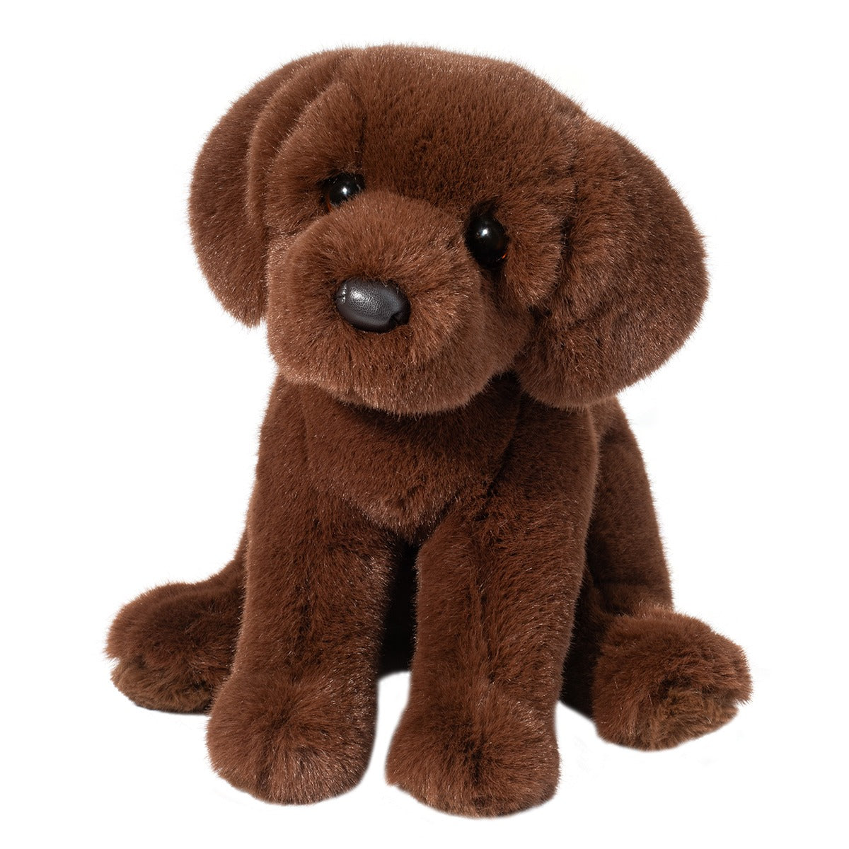 Tomfoolery Toys | Zoom Chocolate Lab