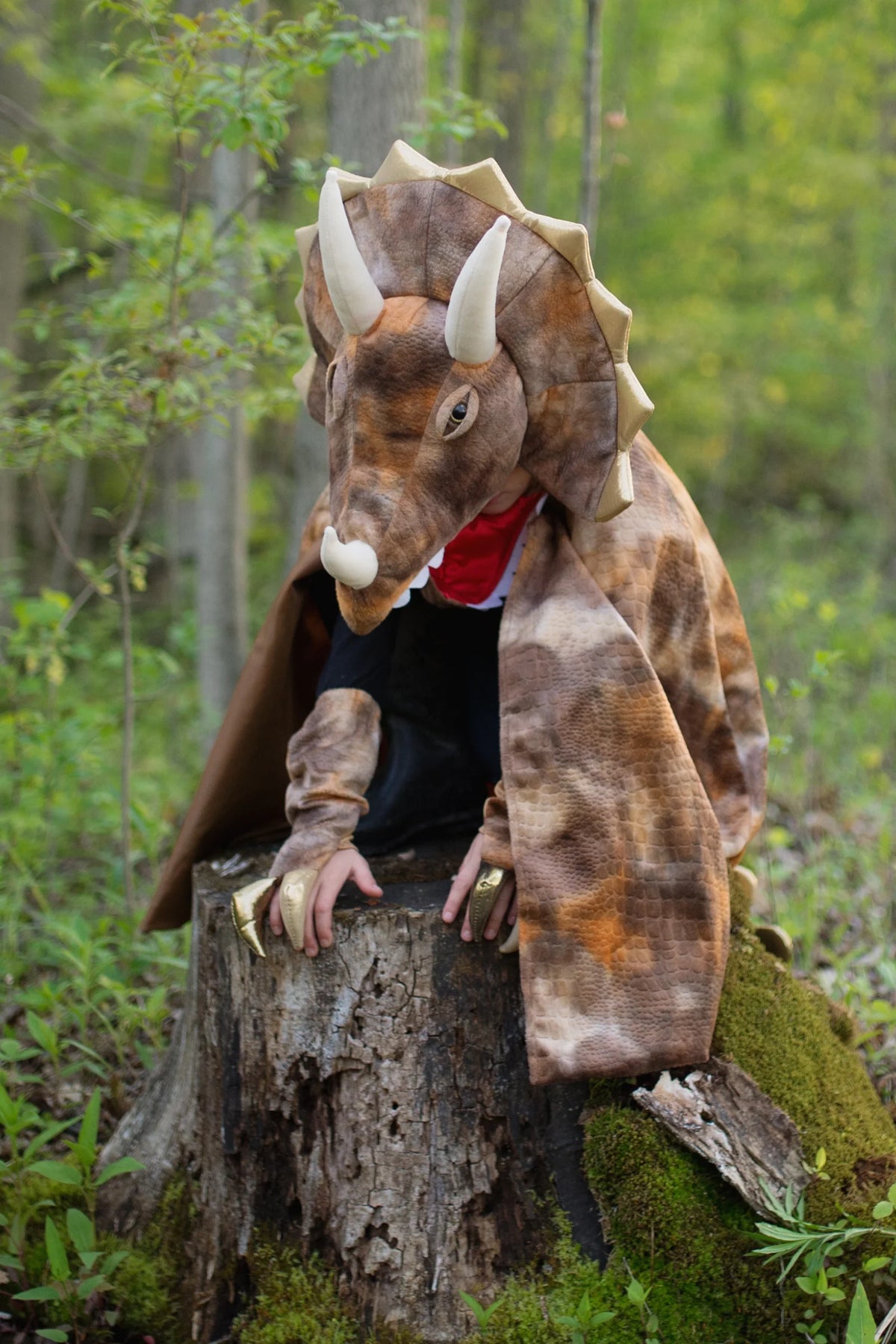 Grandasaurus Triceratops Cape, Sz. 4-6 Cover