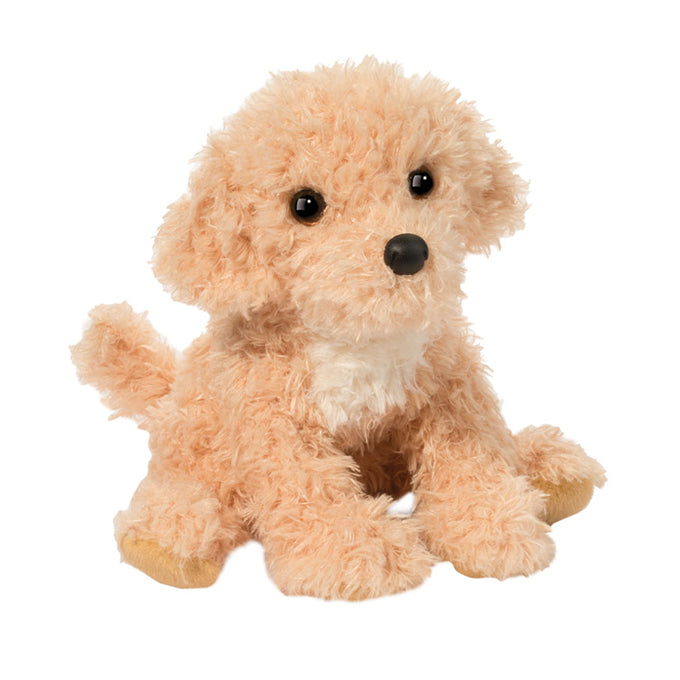 Noodle Golden Doodle Cover