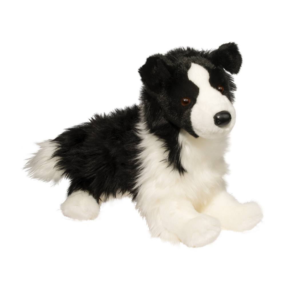 Chase Border Collie Cover