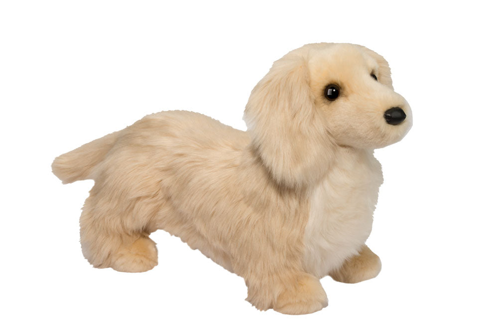 Haisley Golden Dachshund Cover