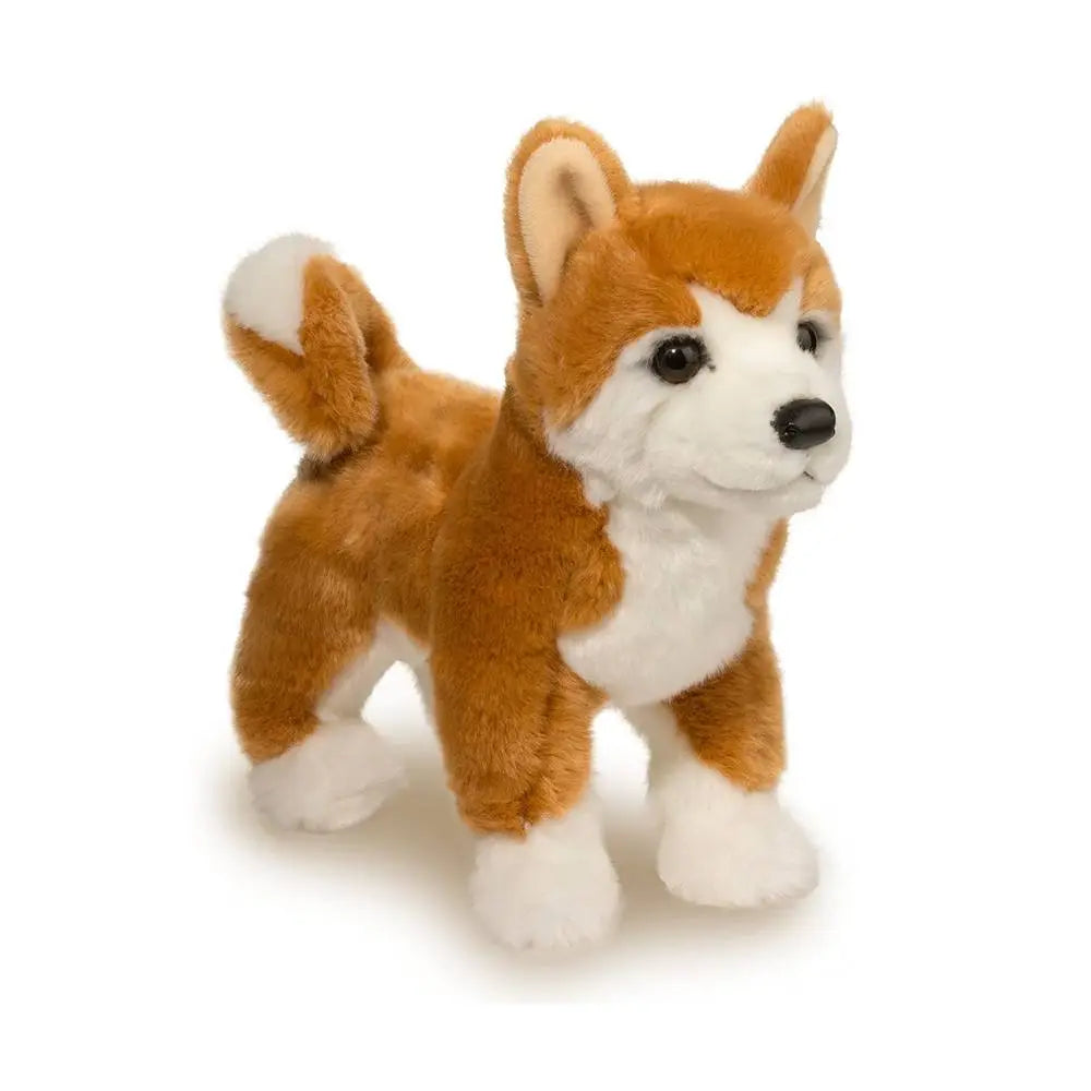 Dunham Shiba Inu Cover